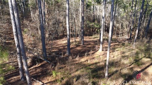 1051 Bluff Rd, Elberton, GA, 30635-3857 | Card Image
