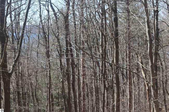 lot 4 Crystal Ridge Dr, Home with 0 bedrooms, 0 bathrooms and null parking in Beulah MI | Image 9