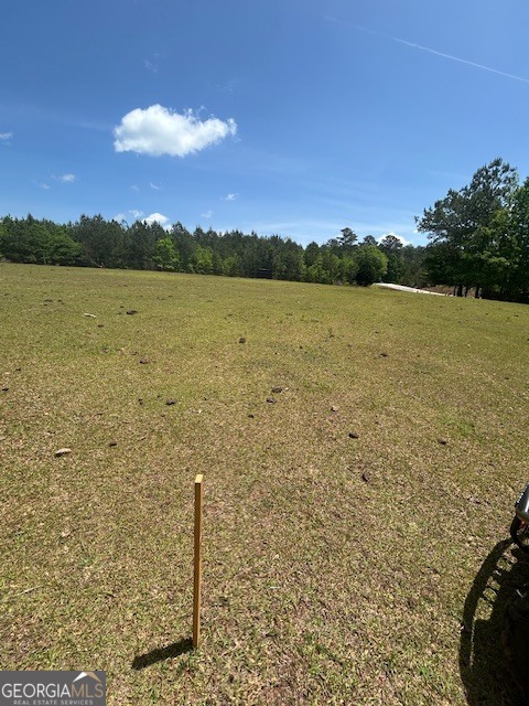 Land in Mcdonough 3