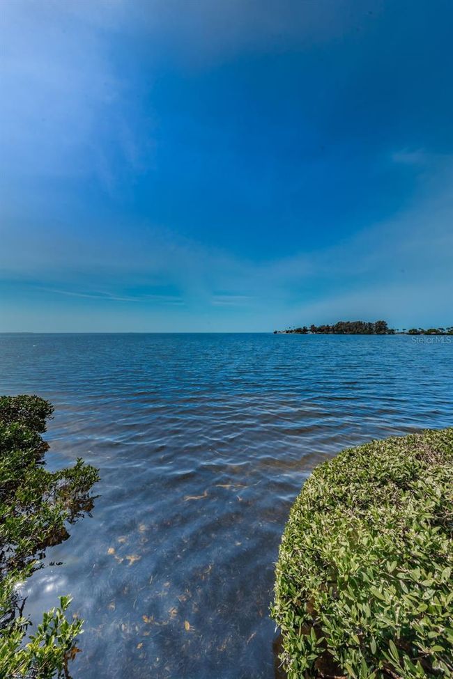 APT-200J - 300 S Florida Ave, Condo with 2 bedrooms, 2 bathrooms and null parking in TARPON SPRINGS FL | Image 60