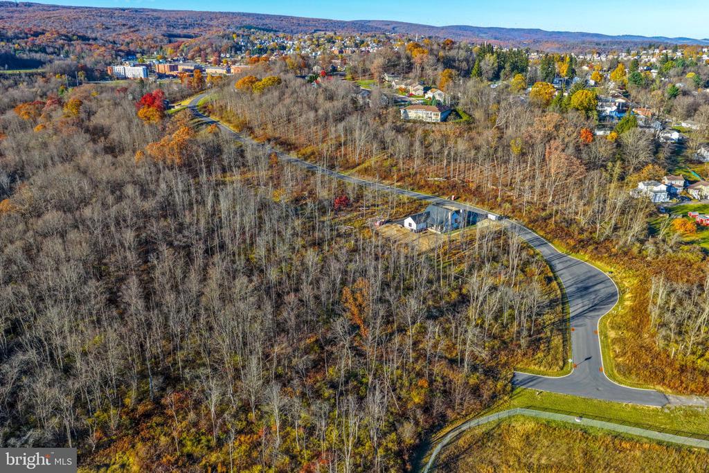 Residential in FROSTBURG 4