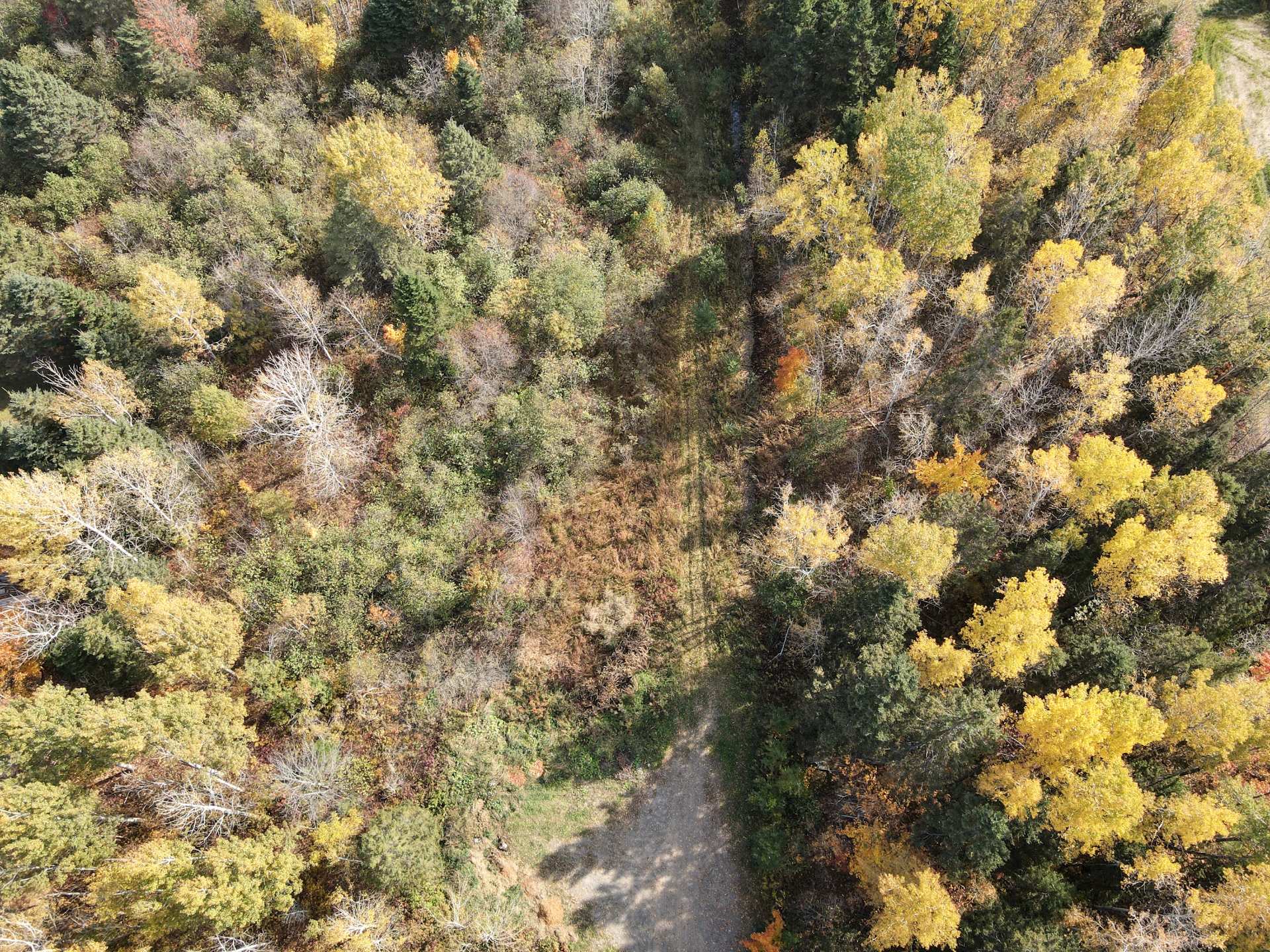 Land in Saint-Gabriel-Lalemant 5