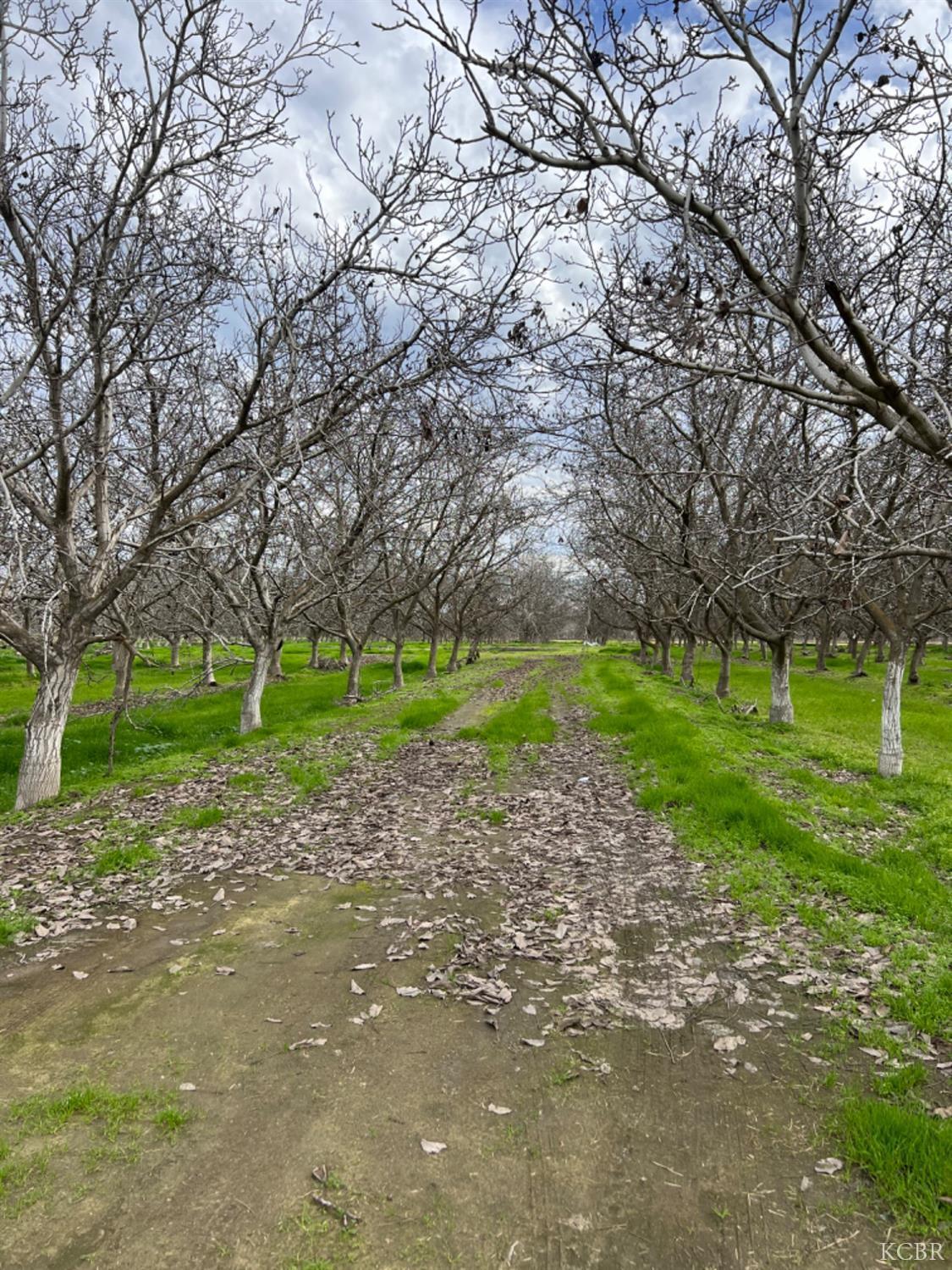 Land in Lemoore 3