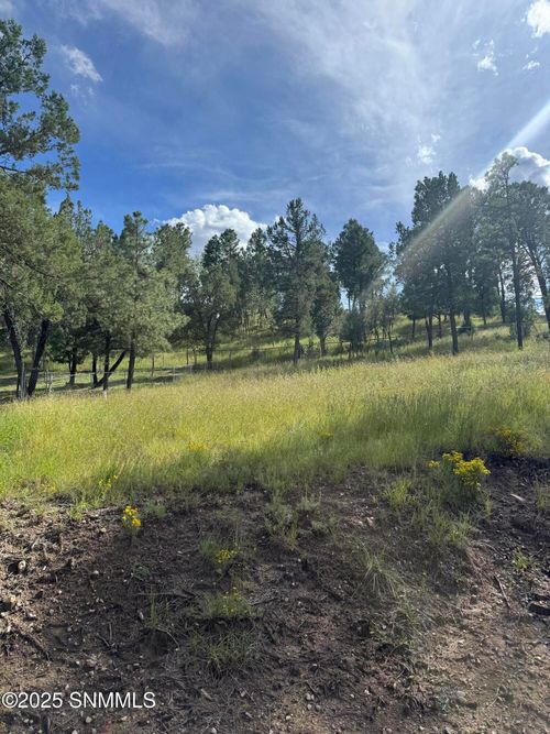 116 Pat Willingham Ct, Ruidoso, NM, 88345-7770 | Card Image