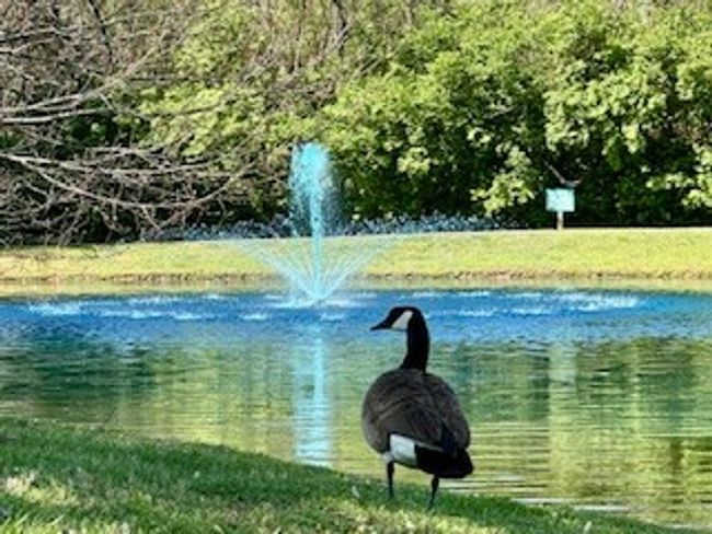 359 - 359 Deer Lake Dr, Condo with 2 bedrooms, 1 bathrooms and 1 parking in Nashville TN | Image 27