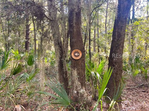 1 Rodeo Dr, Daufuskie Island, SC, 29915-9239 | Card Image