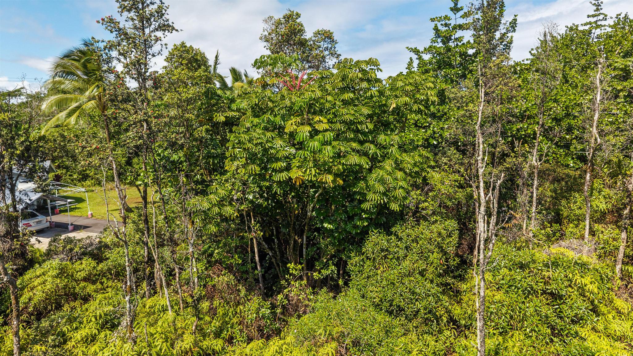 Land in Keaau 3