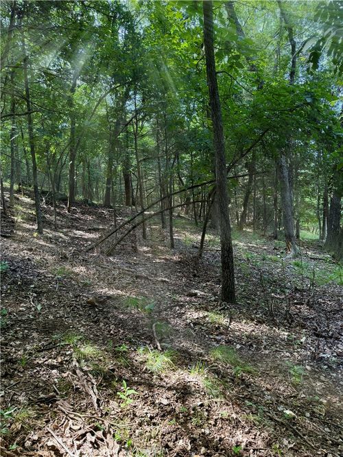 Lot 40 Pine Drive, Garfield, AR, 72732 | Card Image