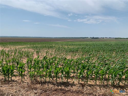 TBD County Road 448, Chilton, TX, 76632 | Card Image