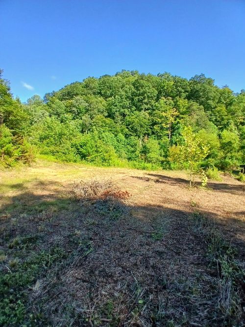 0 Bull Hollow Rd, Manchester, KY, 40962 | Card Image