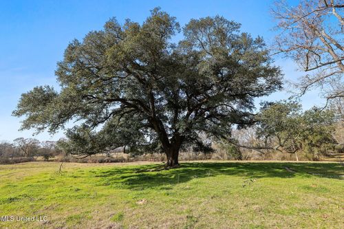 255 J P Thomas Rd, Amite, LA, 70422-7229 | Card Image