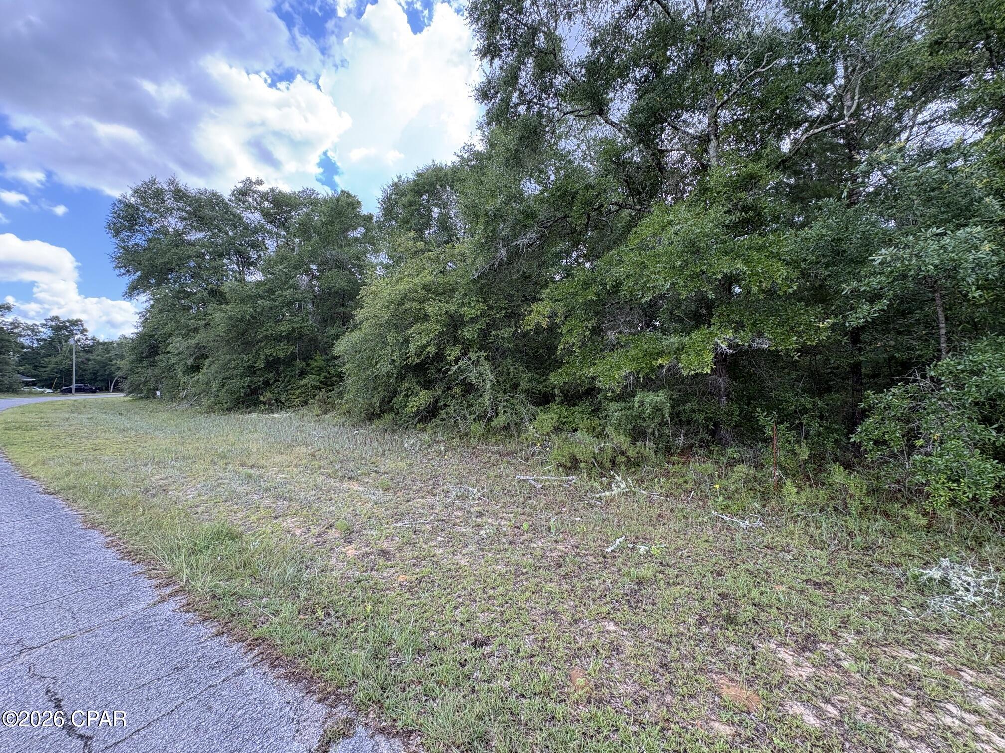 Land in Chipley 3