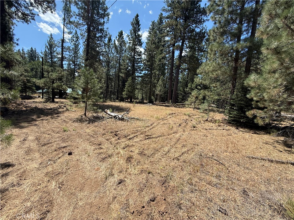 Land in Old Station