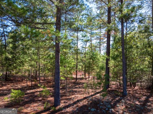 28.95 ACRES Horne Rd, Roberta, GA, 31078 | Card Image