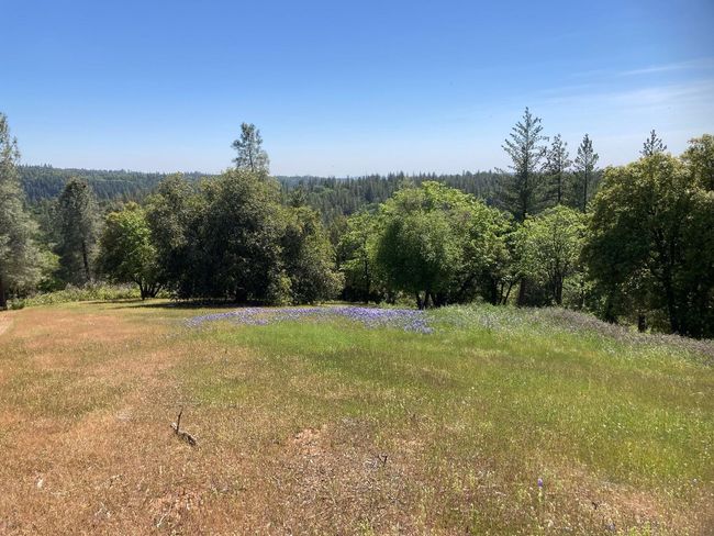 16688 Sonshine Ln, Home with 0 bedrooms, 0 bathrooms and null parking in Sutter Creek CA | Image 8