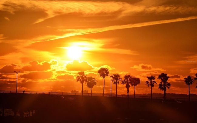 UNIT-113C - 235 Cocoanut Ave, Townhouse with 3 bedrooms, 5 bathrooms and null parking in SARASOTA FL | Image 73