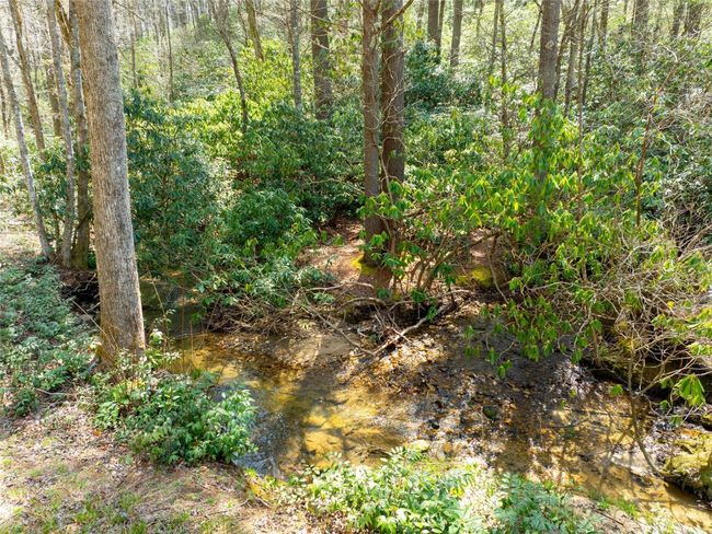 140 Hanging Dog Ln, House other with 5 bedrooms, 5 bathrooms and null parking in Lake Toxaway NC | Image 43