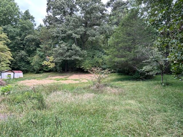 Pony Lake Rd, Dahlonega, GA 30533