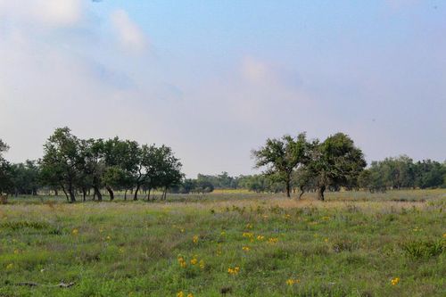 1-117 Apache Trce Nw, Harper, TX, 78631 | Card Image