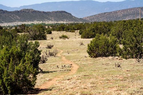 TBD Lot 1 County Road 132, Penrose, CO, 81240-9135 | Card Image