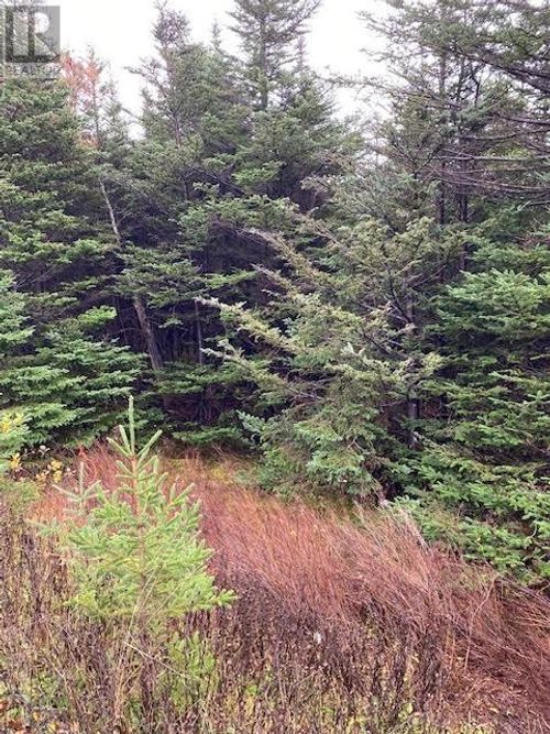 94-96 Highway East, Victoria, NL, A0A4G0 | Card Image