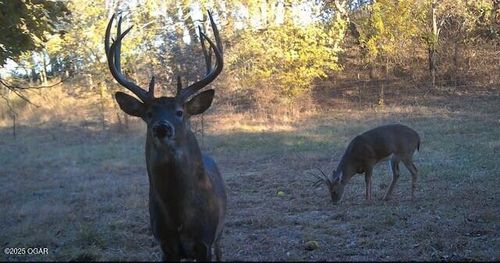 00000 Lyon Rd, Edna, KS, 67342 | Card Image