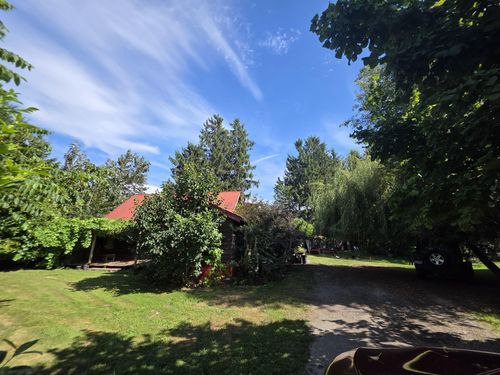 {{alt}} | Card Image