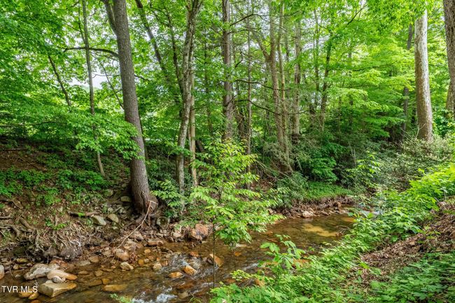 1867 Gentry Creek Rd, House other with 3 bedrooms, 2 bathrooms and null parking in Laurel Bloomery TN | Image 43