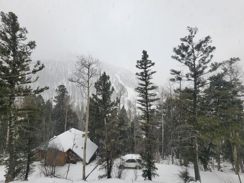15 Coyote Ln, Taos Ski Valley, NM, 87525-8005 | Card Image
