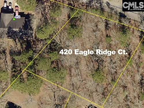 420 Eagle Ridge Court, Gaston, SC, 29053 | Card Image