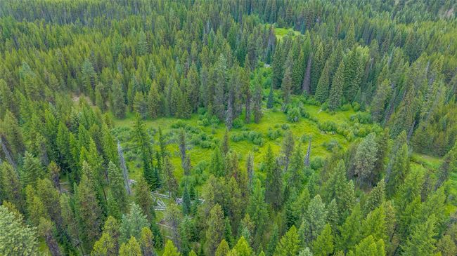 View of property location featuring a forest | Image 14