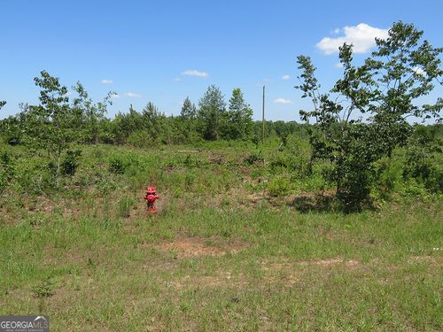 I 0 Ebenezer Road, Ellaville, GA, 31806 | Card Image