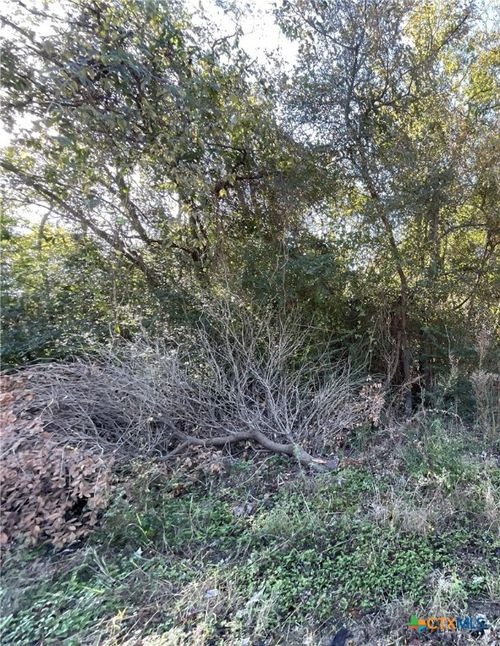 TBD Bowie & Newton, Cameron, TX, 76520 | Card Image