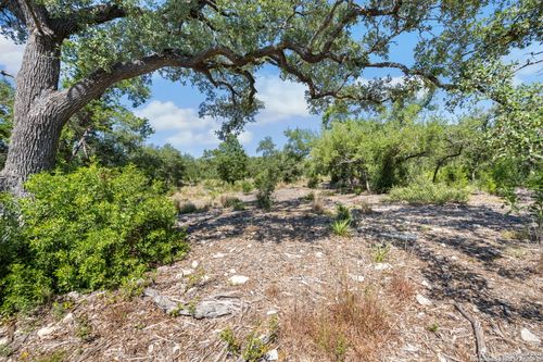 840 Earle Oak Ave, Bulverde, TX, 78163-3096 | Card Image