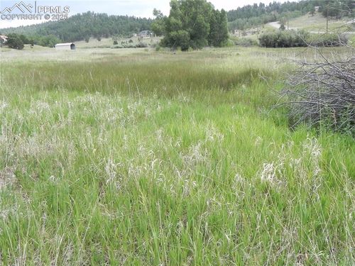 6 Kiva Path, Lake George, CO, 80827 | Card Image