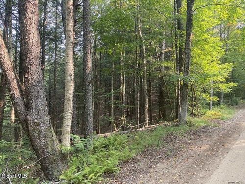 3 Goat Farm Rd, Gloversville, NY, 12078 | Card Image