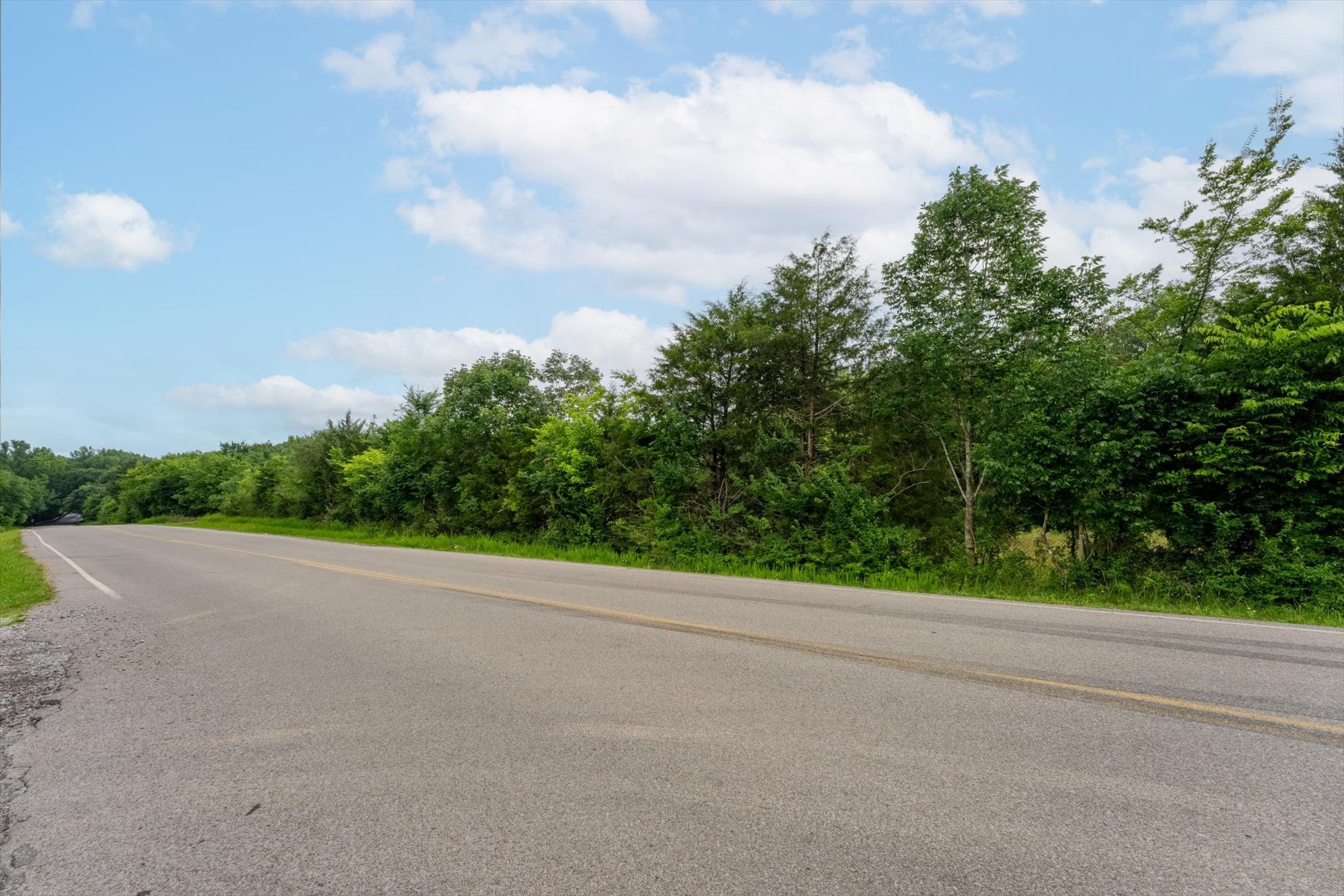 Commercial Sale in Clarksville 3
