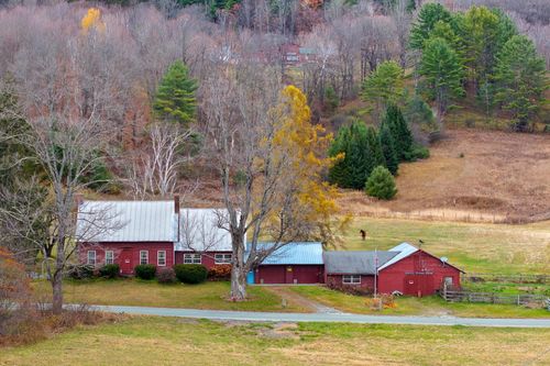 298 Jenneville Road, Hartland, VT, 05048 | Card Image