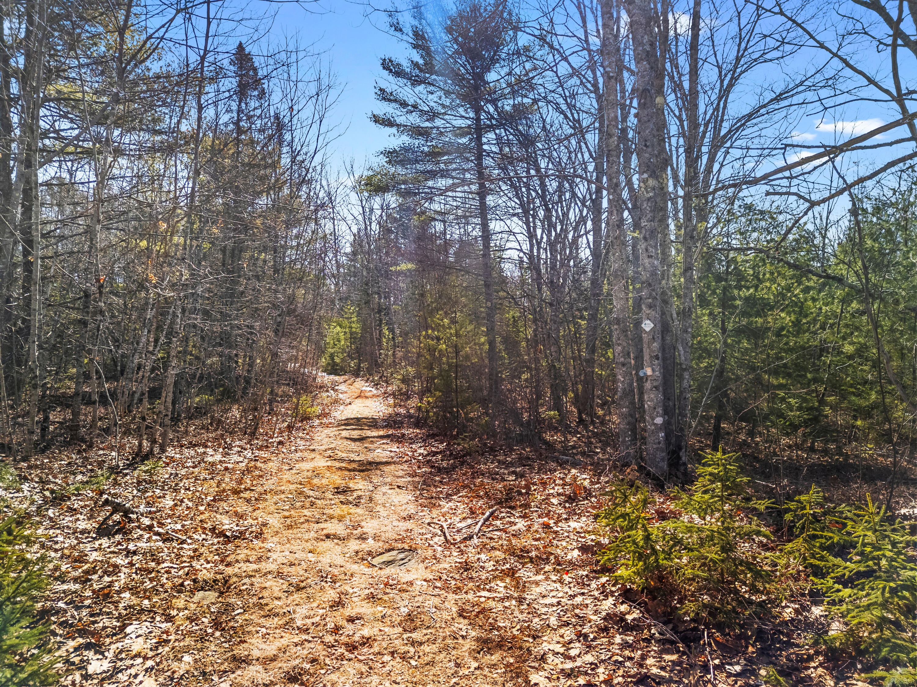 Land in Waldoboro 5