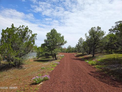 31 N3128, Vernon, AZ, 85940 | Card Image