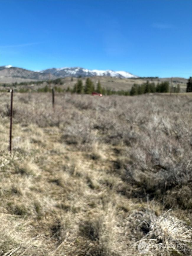 81 W Chewuch Rd, Home with 0 bedrooms, 0 bathrooms and null parking in Winthrop WA | Image 23