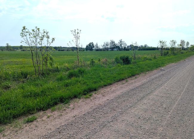 00 Hautala Rd, Home with 0 bedrooms, 0 bathrooms and null parking in Iron River WI | Image 5