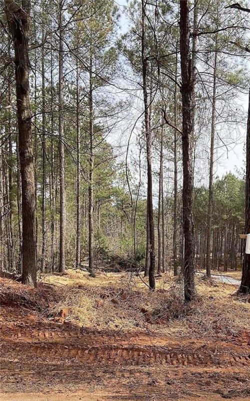 LOT 4 Jaxon Path, Dallas, GA, 30157 | Card Image