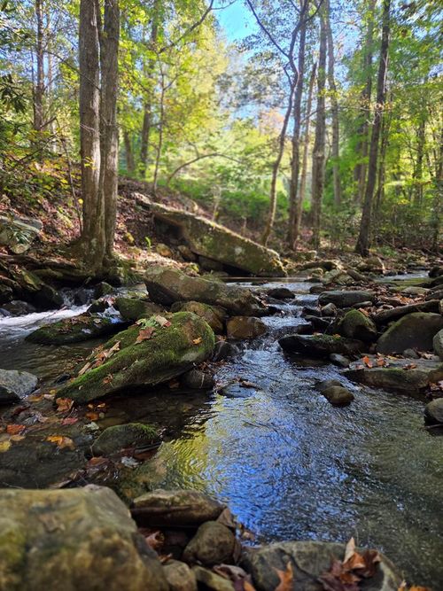 0 Lords Way, Andrews, NC, 28901 | Card Image