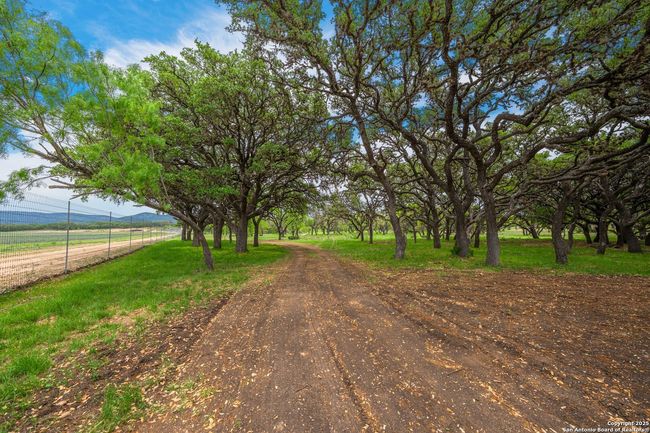 1065 B &Amp; R, Home with 3 bedrooms, 3 bathrooms and null parking in Utopia TX | Image 11