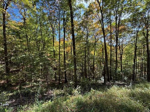 2 lots Holly Ridge Rd, Topton, NC, 28781 | Card Image