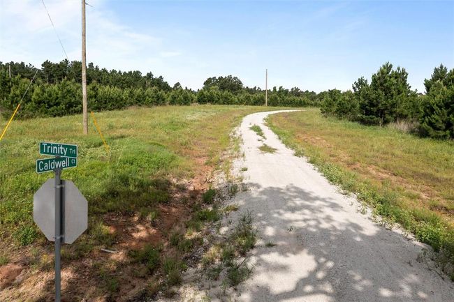 0 Caldwell, Home with 0 bedrooms, 0 bathrooms and null parking in Lovelady TX | Image 12