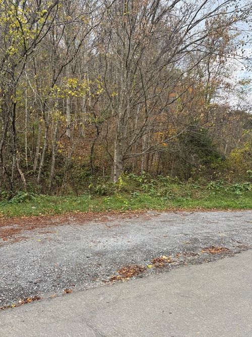 TBD Hurt Buggy Rd, Cedar Bluff, VA, 24609 | Card Image