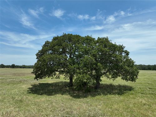Lot 3 TBD Cr 127 Road, Ledbetter, TX, 78946 | Card Image