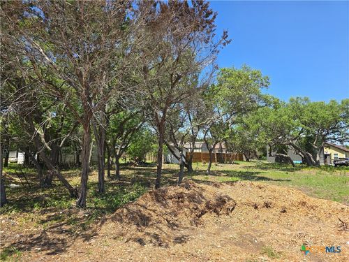 449 High Dr, Spring Branch, TX, 78070-4107 | Card Image